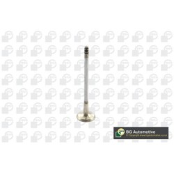 Exhaust Outlet valve BGA V090107 OE Ref 11347552053