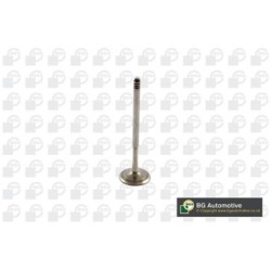 Intake Valve BGA V090108 OE Ref 11347555760