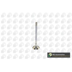 Exhaust Outlet valve BGA V122042 OE Ref 641086