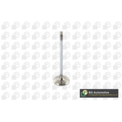 Intake Valve BGA V123821 OE Ref 25183821
