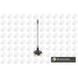 Exhaust Outlet valve BGA V123822 OE Ref 25183822