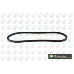 V-Belt BGA V13X1100 OE Ref 60534452