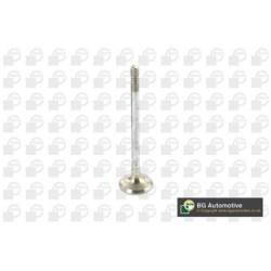 Exhaust Outlet valve BGA V149482 OE Ref 0949.F7