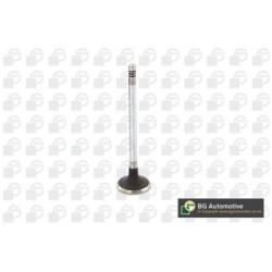 Intake Valve BGA V149486 OE Ref 1683701