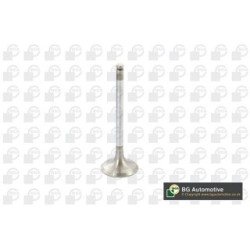 Intake Valve BGA V164990 OE Ref 279005125104
