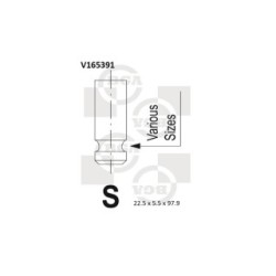 Exhaust Outlet valve BGA V165391 OE Ref 13202-F700