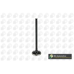 Exhaust Outlet valve BGA V165411 OE Ref 13202-ED00A