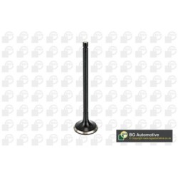 Exhaust Outlet valve BGA V166041 OE Ref 13202-EN200