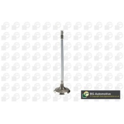 Intake Valve BGA V200001 OE Ref 642101