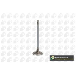 Intake Valve BGA V200263 OE Ref 642113
