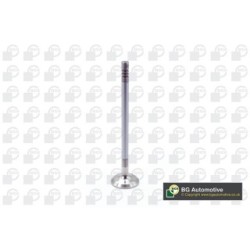 Exhaust Outlet valve BGA V203633 OE Ref 9838084780