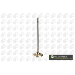Intake Valve BGA V205096 OE Ref 04E109601