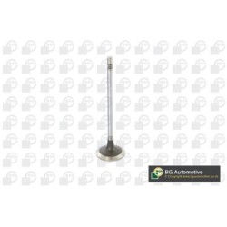 Intake Valve BGA V222531 OE Ref 504072531