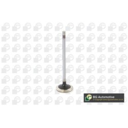 Exhaust Outlet valve BGA V222532 OE Ref 504081062