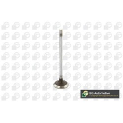 Intake Valve BGA V229199 OE Ref 504069199