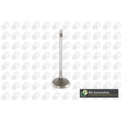 Intake Valve BGA V229666 OE Ref 55229666