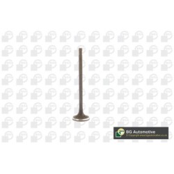 Exhaust Outlet valve BGA V230711 OE Ref 1800711