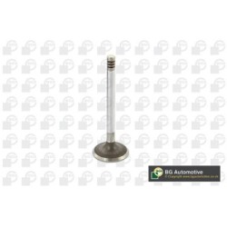 Exhaust Outlet valve BGA V232014