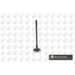 Intake Valve BGA V236819 OE Ref CM5G6507CB