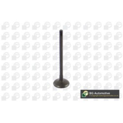 Intake Valve BGA V362211 OE Ref 22211-2F000