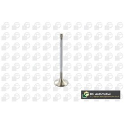 Intake Valve BGA V560011 OE Ref 6510530101
