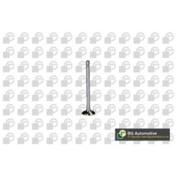 Exhaust Outlet valve BGA V560012 OE Ref 2700500100