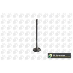 Intake Valve BGA V560013 OE Ref 2700530001