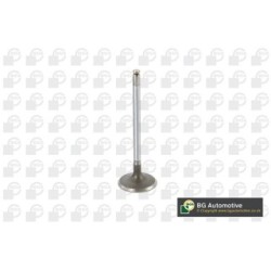 Intake Valve BGA V560201 OE Ref 1130530201