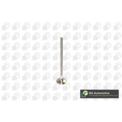 Exhaust Outlet valve BGA V591702 OE Ref 0949.F6