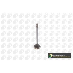 Intake Valve BGA V611981 OE Ref MN176597
