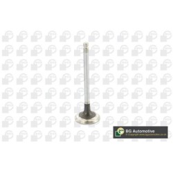 Exhaust Outlet valve BGA V632201 OE Ref 13202-2J201