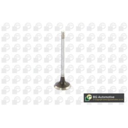 Exhaust Outlet valve BGA V912003 OE Ref 13715-20020