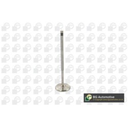 Intake Valve BGA V969601 OE Ref 022109601H