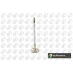 Exhaust Outlet valve BGA V969611 OE Ref 04E109611L