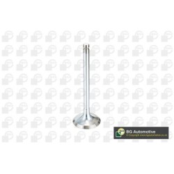 Intake Valve BGA V994546 OE Ref 641000