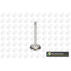 Intake Valve BGA V998902 OE Ref 38109601E