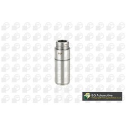 Valve Guide BGA VG3091 OE Ref 6010500624