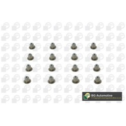 Valve Stem Seal Set BGA VK1373 OE Ref 7807347