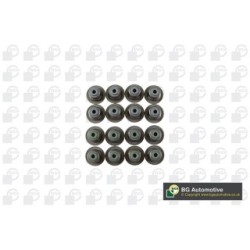 Valve Stem Seal Set BGA VK2372 OE Ref 1206655