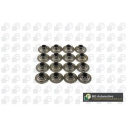 Valve Stem Seal Set BGA VK5343 OE Ref LUB100350