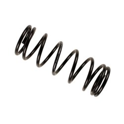 Suspension Spring BILSTEIN 36-160884 OE Ref B21628011