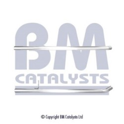 Exhaust Pipe BM CATALYSTS BM50522 OE Ref 200105074R BM CATALYSTS