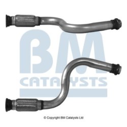Exhaust Pipe BM CATALYSTS BM50646 OE Ref 9802720680