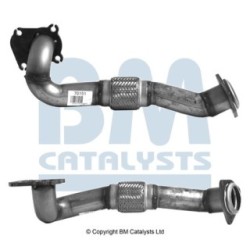 Exhaust Pipe BM CATALYSTS BM70151 OE Ref 1H025391AC BM CATALYSTS