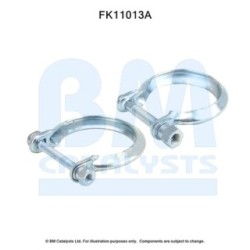Diesel Particulate Filter Fitting Kit BM CATALYSTS FK11013