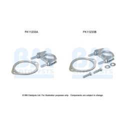Diesel Particulate Filter Fitting Kit BM CATALYSTS FK11233