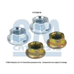 Exhaust Pipe Fitting Kit BM CATALYSTS FK70681