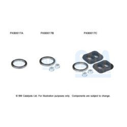 Catalytic Converter Fitting Kit BM CATALYSTS FK80017 BM CATALYSTS