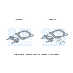 Catalytic Converter Fitting Kit BM CATALYSTS FK80055