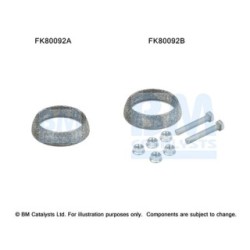 Catalytic Converter Fitting Kit BM CATALYSTS FK80092